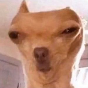 Meet your Posher, Kevin